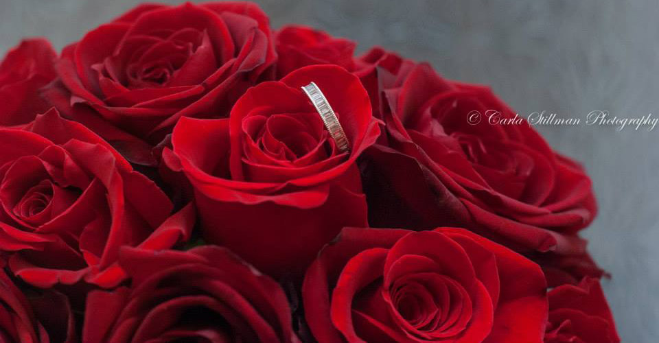Carla Stillman Photography Wedding Photographer Portsmouth, Hampshire